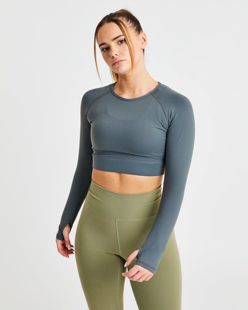 AYBL Core Long Sleeve Crop Top Szare | 095674-CBL