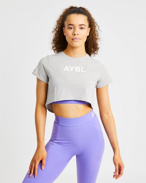 AYBL Crop T Shirt Szare | 935741-OJC