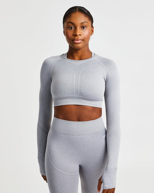 AYBL Impact Seamless Long Sleeve Crop Top Szare | 803479-WFZ