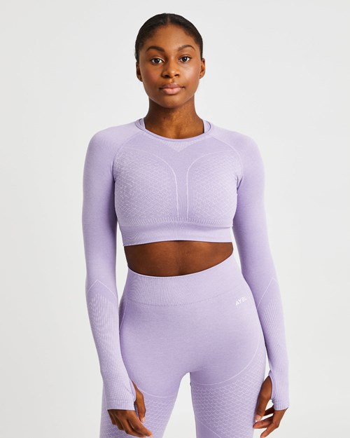 AYBL Impact Seamless Long Sleeve Crop Top Lilac | 865349-ELX