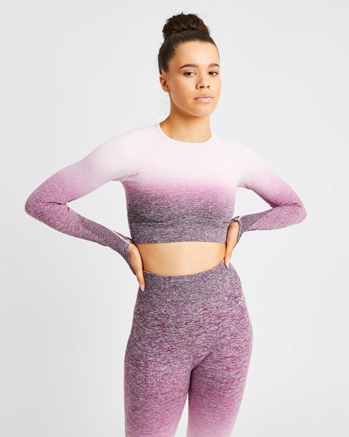 AYBL Pulse Ombré Seamless Long Sleeve Crop Top Plum | 182675-TKG