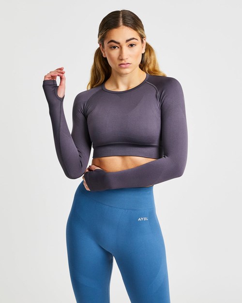 AYBL Reform Seamless Long Sleeve Crop Top Charcoal | 362574-IFT