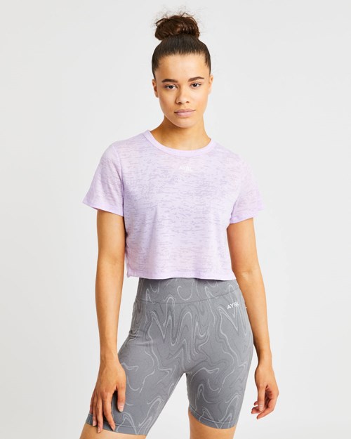 AYBL Velocity Crop T Shirt Lilac | 975831-EUY