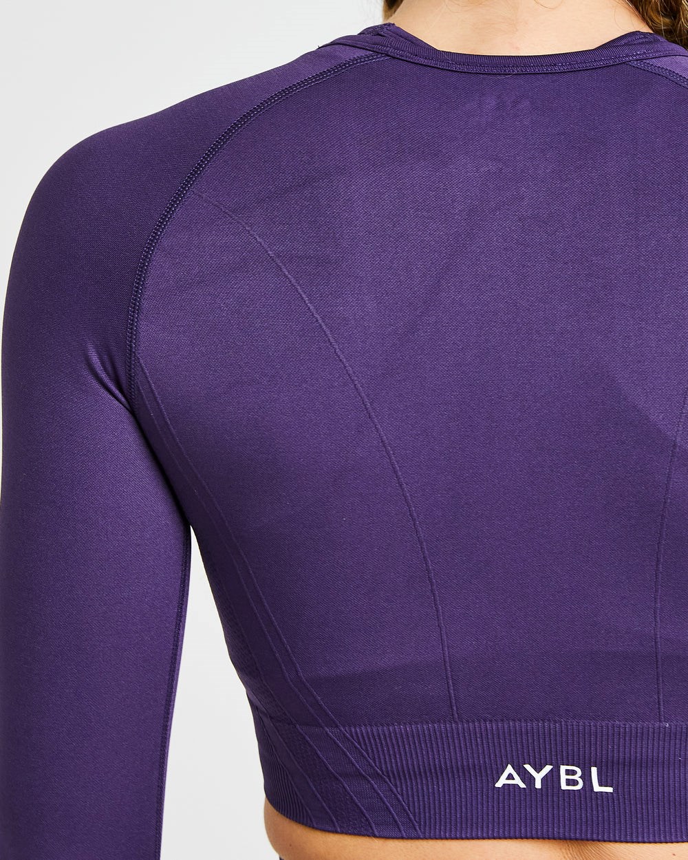 AYBL Balance V2 Seamless Long Sleeve Crop Top Fioletowe | 685417-CBN